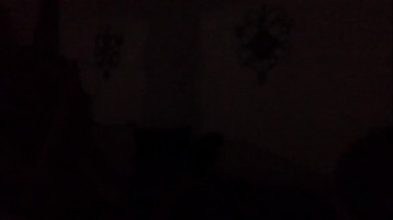 Fucking In The Dark Blind Desire